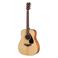 Guitar Acoustic Yamaha F3000