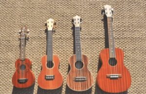 Chọn đàn ukulele loại phù hợp