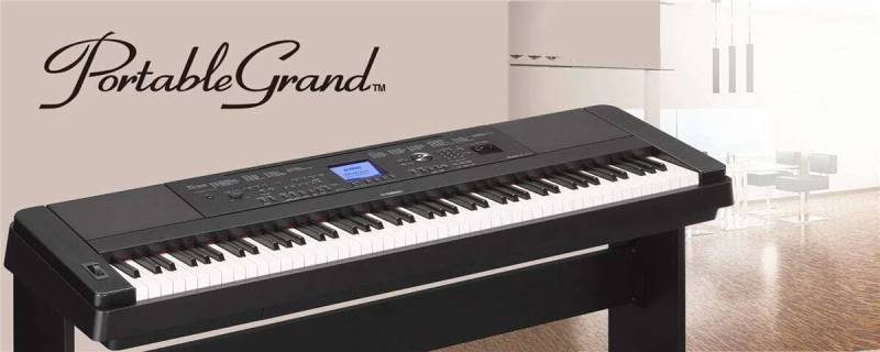 and-piano-dien-yamaha-dong-Portable-Grand.