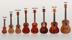 Các loại đàn ukulele concert giá bao nhiêu là hợp lý