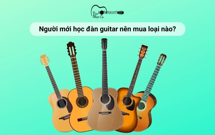 Người mới học nên mua guitar loại nào