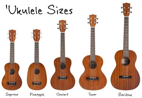 ukulele có giống guitar không