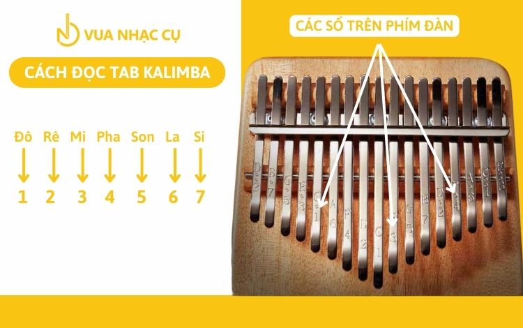 Cách chơi đàn Kalimba cơ bản bằng cách đọc Tab kalimba