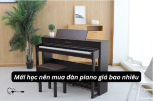 Mới học nên mua đàn piano giá bao nhiêu