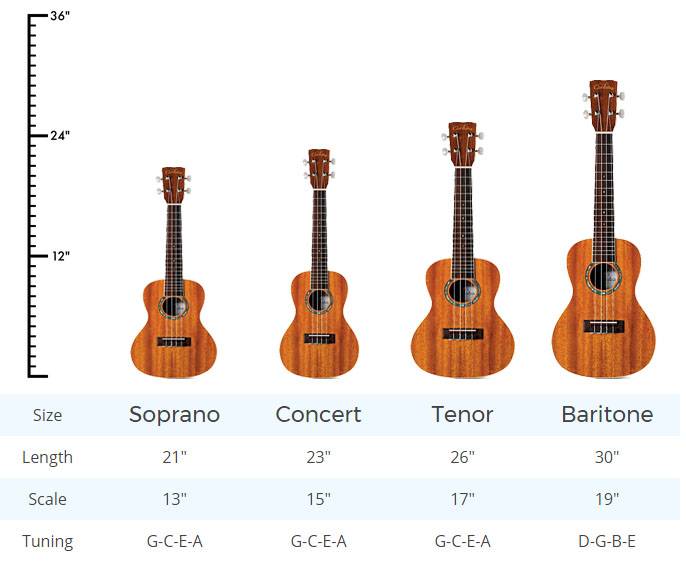 Kích thước của đàn ukulele