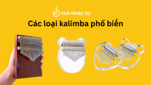 Các loại đàn kalimba phổ biến - Những điều cần biết về kalimba cho người mới